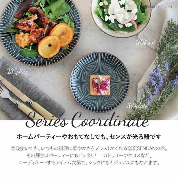 窯変SENDAN センダン 中皿 21cm おしゃれ パスタ皿 取り皿 しのぎの器 美濃焼 日本製 食器