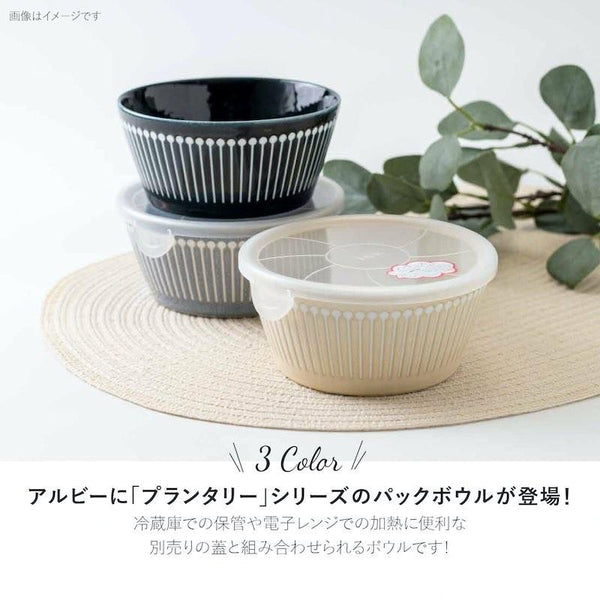 PLANTAREE Albee 130パックボウル ベージュ 中鉢 中ボウル おしゃれ みのる陶器 美濃焼 日本製 食器