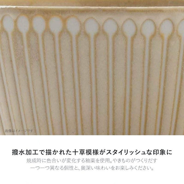 PLANTAREE Albee 105パックボウル ベージュ 小鉢 ボウル みのる陶器 美濃焼 日本製 食器