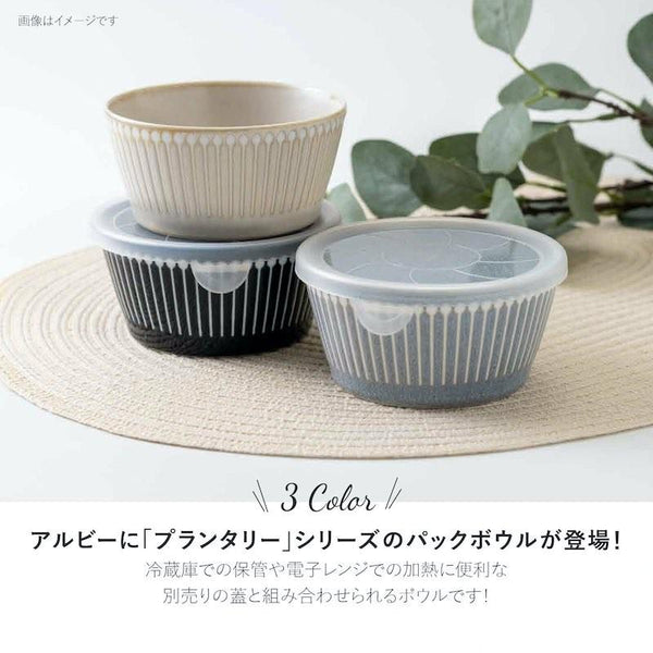 PLANTAREE Albee 105パックボウル ネイビー 小鉢 ボウル みのる陶器 美濃焼 日本製 食器