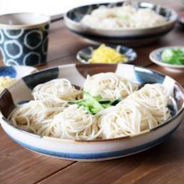 Brush Blue ブラッシュブルー 深皿 パスタ皿 おしゃれ ぱいかじ風 沖縄風 美濃焼 日本製 食器