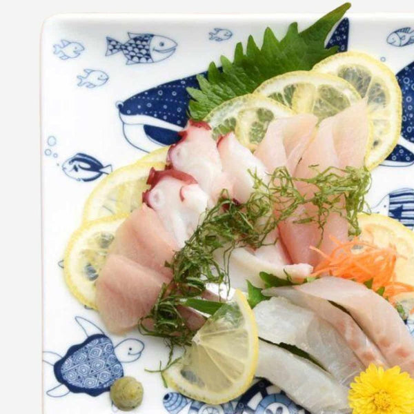 Cocomarine ココマリン 正角皿 角皿 おしゃれ 北欧 ジンベイザメ 日本製 波佐見焼 食器