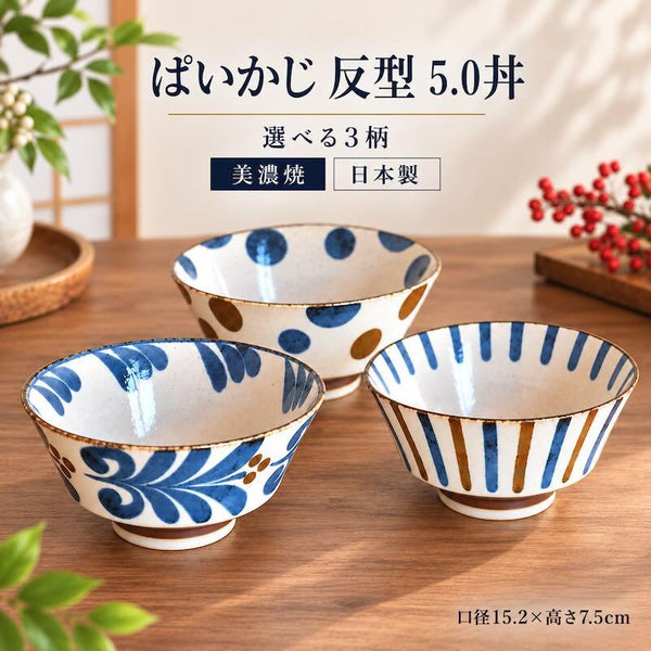 ぱいかじ 反型5.0丼 どんぶり 15cm おしゃれ 美濃焼 日本製 やちむん風 沖縄風 南風