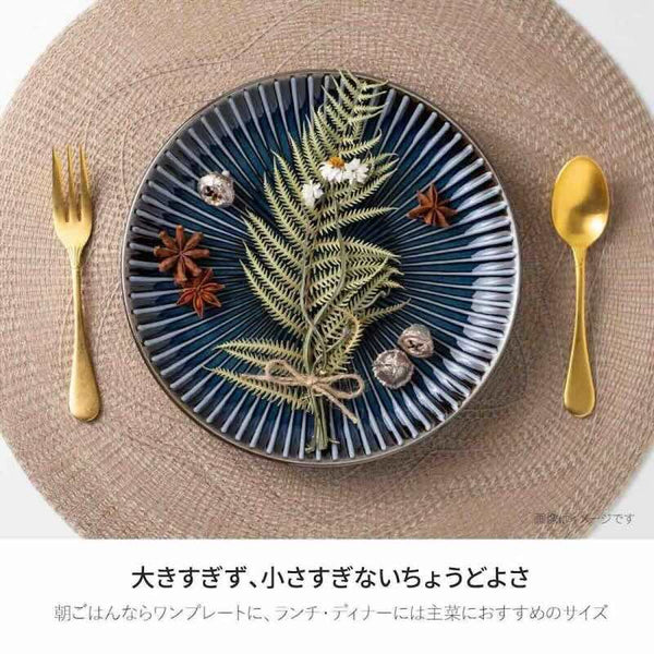 窯変SENDAN センダン 中皿 21cm おしゃれ パスタ皿 取り皿 しのぎの器 美濃焼 日本製 食器